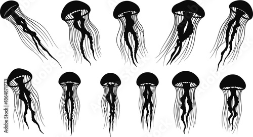 Jellyfish silhouette illustration, marine life vector art, underwater creature design, ocean wildlife drawing, aquatic animal artwork, black and white nature image
