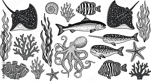 Marine life silhouette illustration, stingray vector art, octopus drawing, narwhal design, tropical fish artwork, coral reef graphic, underwater biodiversity concept image