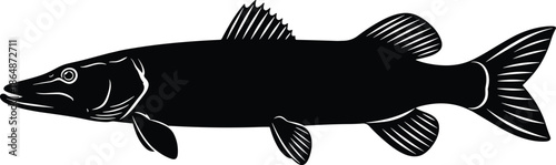 Pike fish silhouette illustration, freshwater predator vector art, aquatic animal drawing, fishing design graphic, black and white artwork, detailed marine wildlife concept image