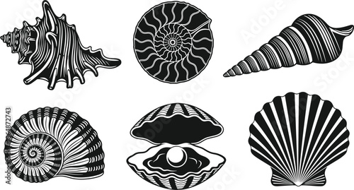 Seashell silhouette illustration, conch shell vector art, nautilus spiral design, clam pearl drawing, scallop shell artwork, marine mollusk graphic, ocean nature concept image