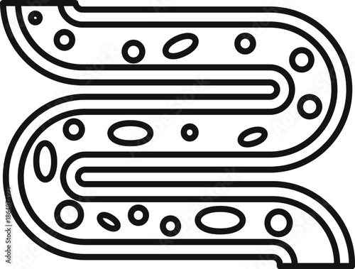 Human intestine line art illustrating biology and anatomy of the internal digestive tract