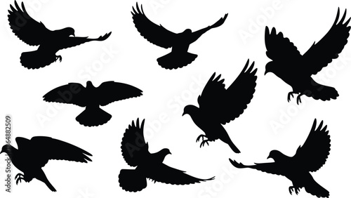 Silhouettes of Birds in Various Flying Poses