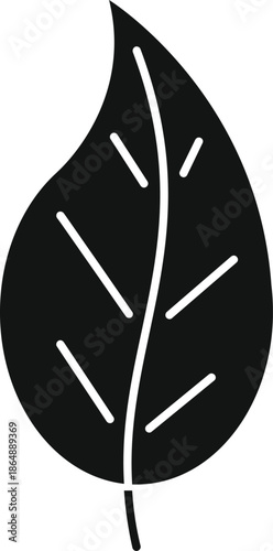 Black silhouette of a simple leaf icon with veins on a white background