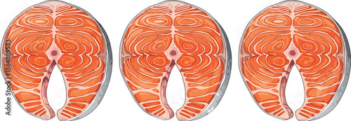 Fresh salmon steak cross sections isolated on white background detailed seafood illustration representing healthy nutrition omega fatty acids concept
