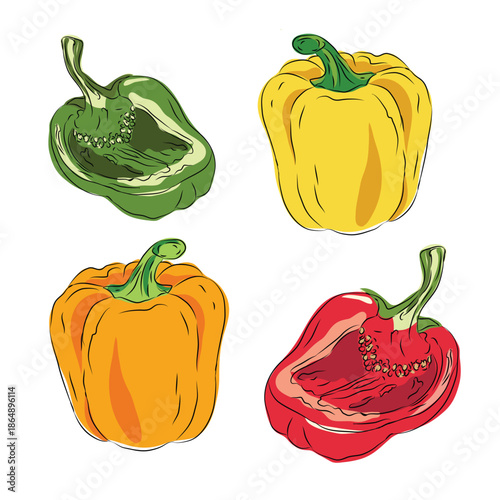 Collection of Realistic green and yellow and red and orange bell pepper illustrations set, Clean vector set ideal for packaging, label and and product design, Vector illustration of bell pepper set