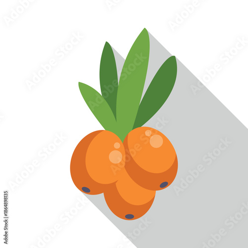 Sea buckthorn berries and green leaves illustrating healthy food and autumn harvest concept