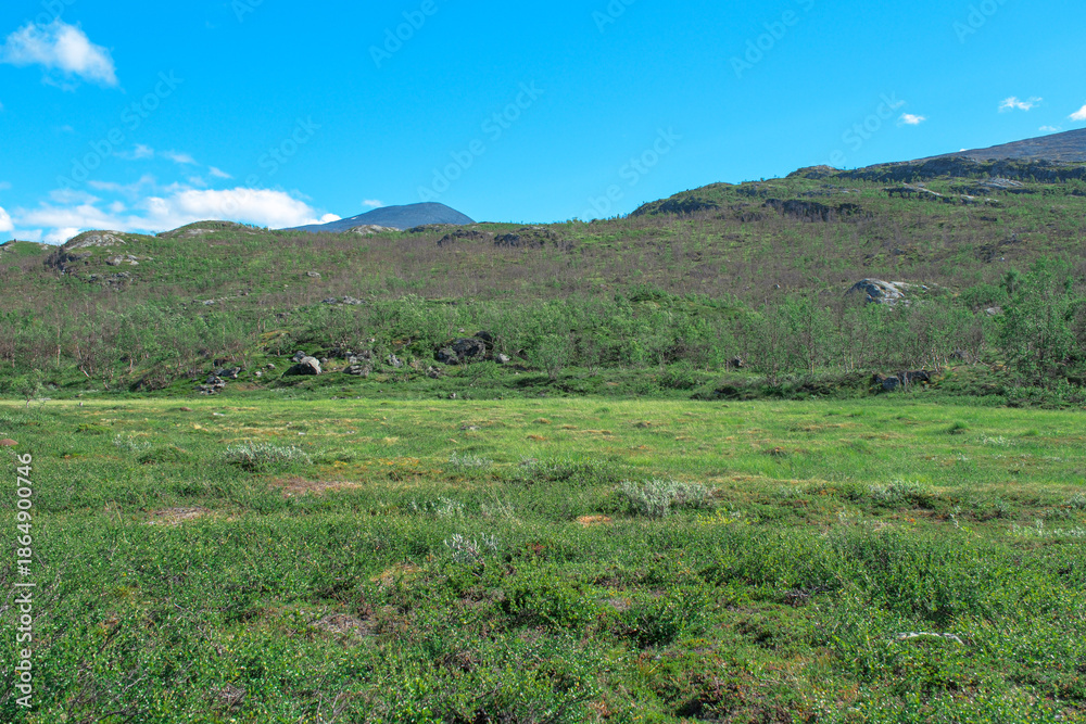 Fototapeta premium Vast Arctic Landscape of the Kungsleden Trail, Abisko Sweden, Minimal Nordic Wilderness Landscape, Kungsleden Sweden, Scenic Hiking Landscape