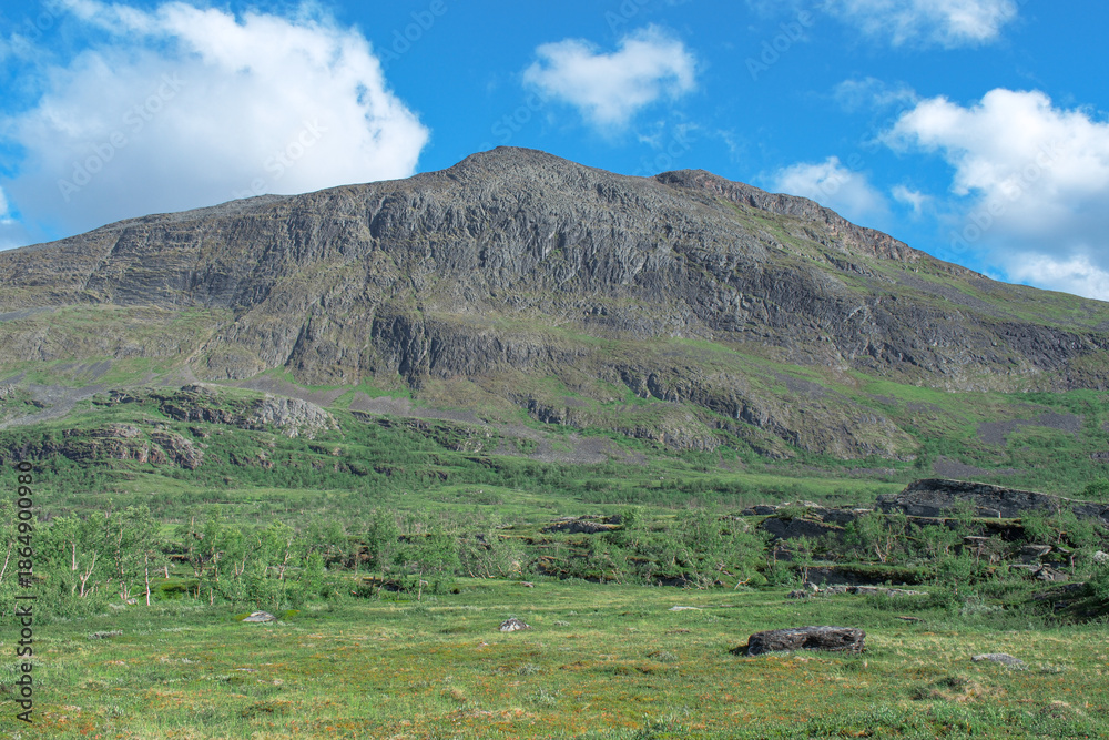 Obraz premium Vast Arctic Landscape of the Kungsleden Trail, Abisko Sweden, Minimal Nordic Wilderness Landscape, Kungsleden Sweden, Scenic Hiking Landscape