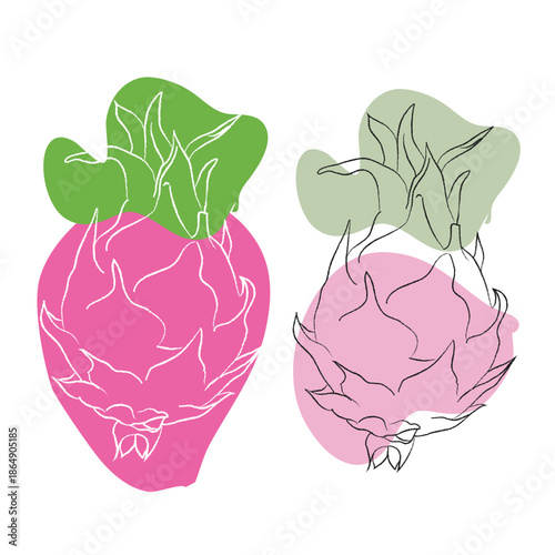 Realistic dragon illustrations, Clean vector set ideal for packaging, label and and product design, Vector illustration of dragon set, on a clean background, Illustration of dragon, EPS format