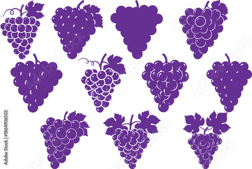 Collection of purple grapes