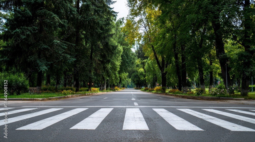 Obraz premium View of an empty road with a pedestrian crossing, flanked by tall trees and lush greenery, suggesting a park setting