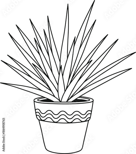 Hand drawn sketch of a spiky houseplant in a decorative pot