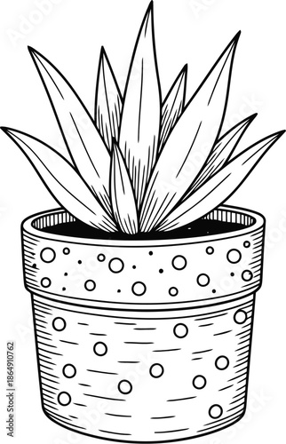 Hand drawn sketch of a potted succulent plant in a decorative pot