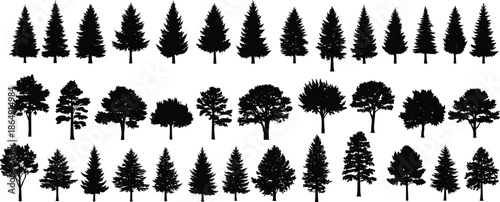 Big collection of forest tree silhouettes, pine and spruce evergreen plants, nature landscape elements, vector illustration isolated on white background