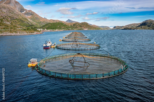 Wallpaper Mural Farm salmon fishing in Norway. Norway is the biggest producer of farmed salmon in the world. Torontodigital.ca