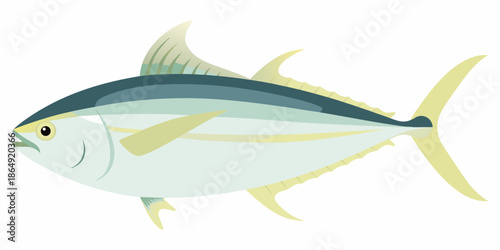 Illustration of a bluefin tuna fish a streamlined marine creature