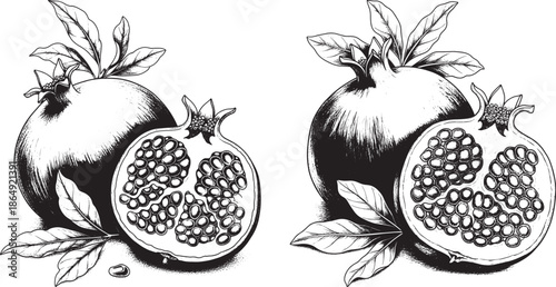 Detailed vintage style pomegranate illustration showing whole fruit and sliced half with seeds