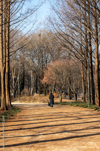 서울 숲 겨울 나들이
