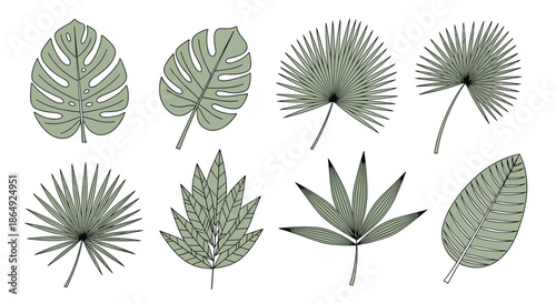 various tropical plant leaves including monstera and palm fronds are shown in a stylized green vector illustration for summer design themes.
