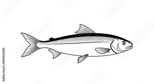 Simple black and white line drawing of a fish swimming towards the right side on a clean white background.