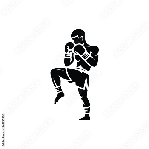 Boxer in fighting stance isolated on white background, Vector, illustration
