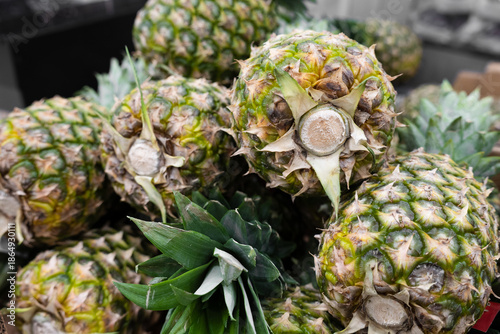  Unripe green pineapples with spiky exteriors and leafy crowns . Close up.