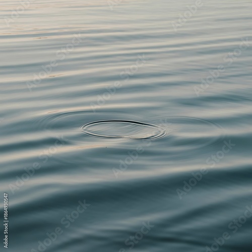 gentle ripples on calm blue water surface forming concentric circles showing tranquil serene and peaceful natural effect with soft light reflecting on liquid creating abstract background