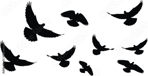 silhouettes of Black flying bird , vector icon set of a dove, eagle, parrot or pigeon with wings wide, symbolizing freedom & peace.