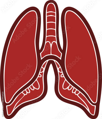 Human Lungs Icon Graphic Medical Respiratory System Illustration