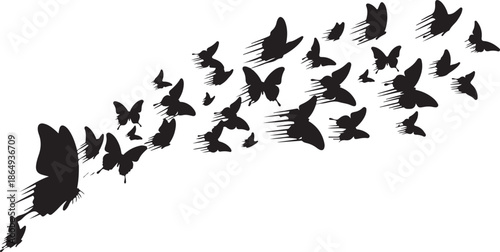 Flying Butterfly Silhouette Swarm – Freedom, Transformation and Nature Concept Illustration.