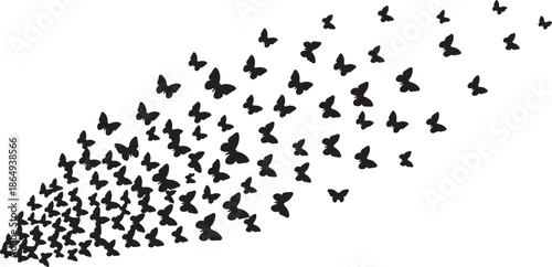Flying Butterflies Silhouette Vector, Abstract Butterfly Swarm on White Background.