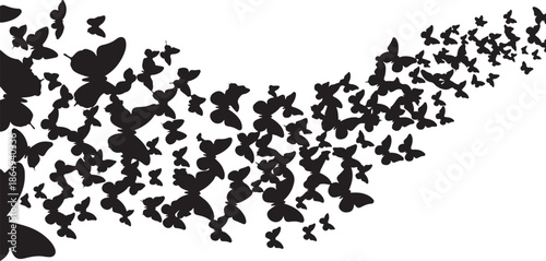 Flying Butterflies Silhouette Vector, Abstract Butterfly Swarm on White Background.