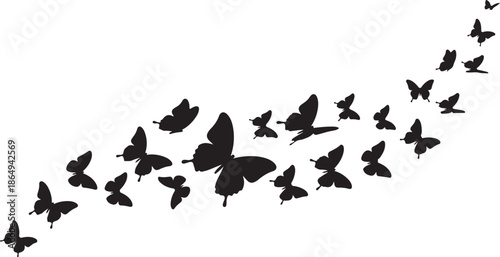 Flying Butterflies Silhouette Vector, Abstract Butterfly Swarm on White Background.