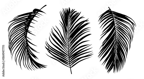 Modern black and white silhouette illustration of three palm fronds arranged horizontally, featuring clean lines, high contrast, and minimalist graphic style.