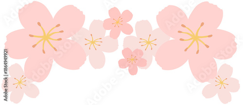 pink cherry blossom