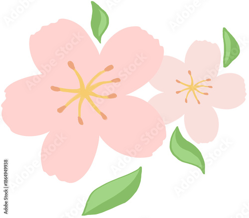 pink cherry blossom