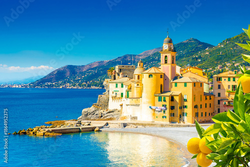 Scenic Mediterranean riviera coast. Panoramic view of Camogli town in Liguria, Italy. Basilica of Santa Maria Assunta and colorful palaces. Liguria, Italy