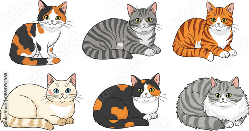 Cute realistic cartoon cats set with different fur patterns and resting poses isolated on white background vector illustration