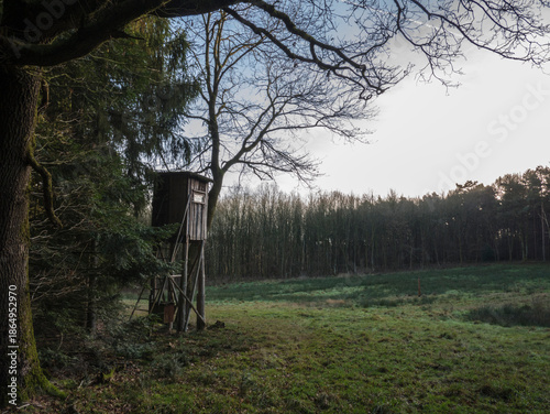 Wooden hunting stand beside pine tree in lush green meadow, distant bare forest under cloudy sky in rural winter landscape.