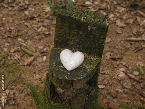 Small rustic wooden stump seat with white heart decoration in quiet mossy forest, surrounded by dry leaves, needles and natural woodland floor.