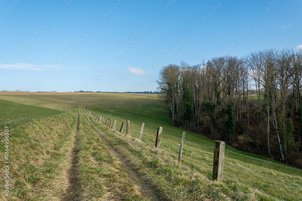 Obraz premium Chemin dans la campagne vaudoise