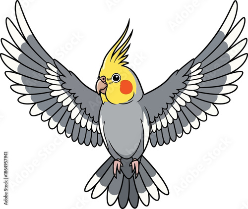 Adorable Cockatiel Bird Illustration Flying with Wings Spread Wide Vector Art