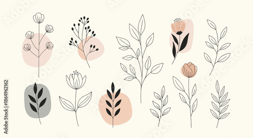 Collection of minimalist hand-drawn botanical line art, featuring various flowers and leaves with abstract pastel color shapes.