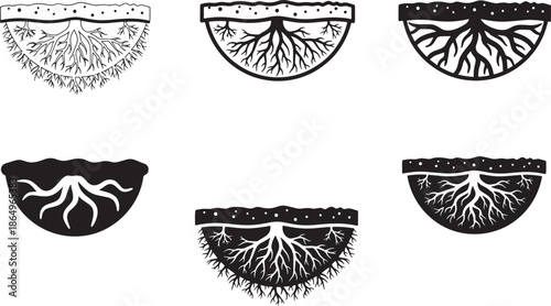 Soil Cross Section Icon Set Showing Roots Underground Layers in Thin Bold and Solid Styles for Agriculture Biology and Environmental Design