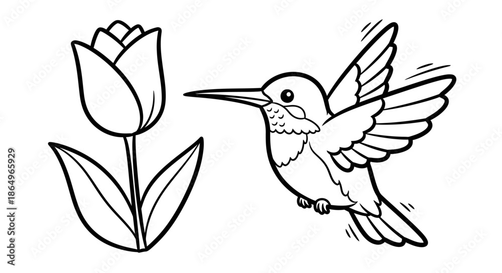 Obraz premium Hummingbird Feeding Outline