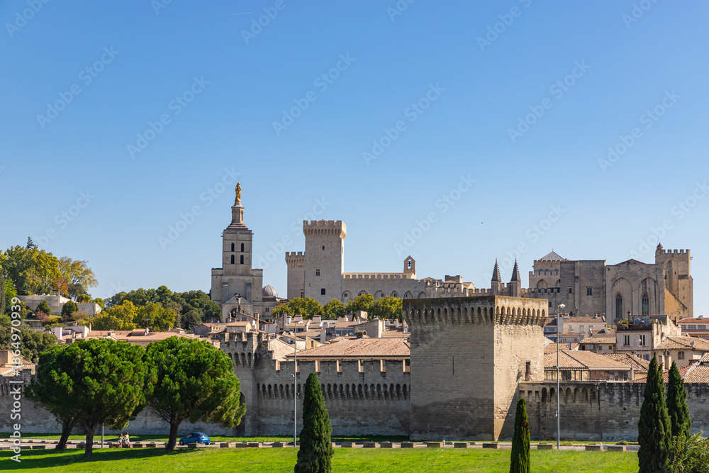 Obraz premium View of Palais des Papes in Avignon, France