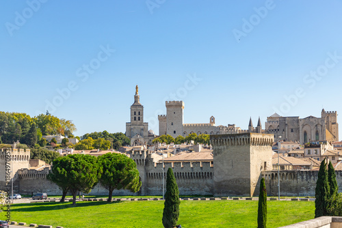 Принти на полотні View of Palais des Papes in Avignon, France