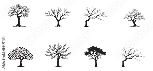 Tree Silhouette Vector Illustration, Black Tree Icon Isolated, Nature Forest Plant Silhouette Design