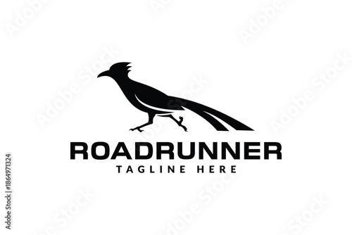 roadrunner logo design vector illustration. roadrunner silhouette logo template	