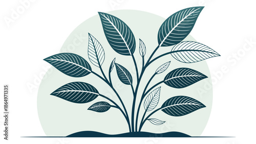 Stunning plant with lush green leaves growing healthily